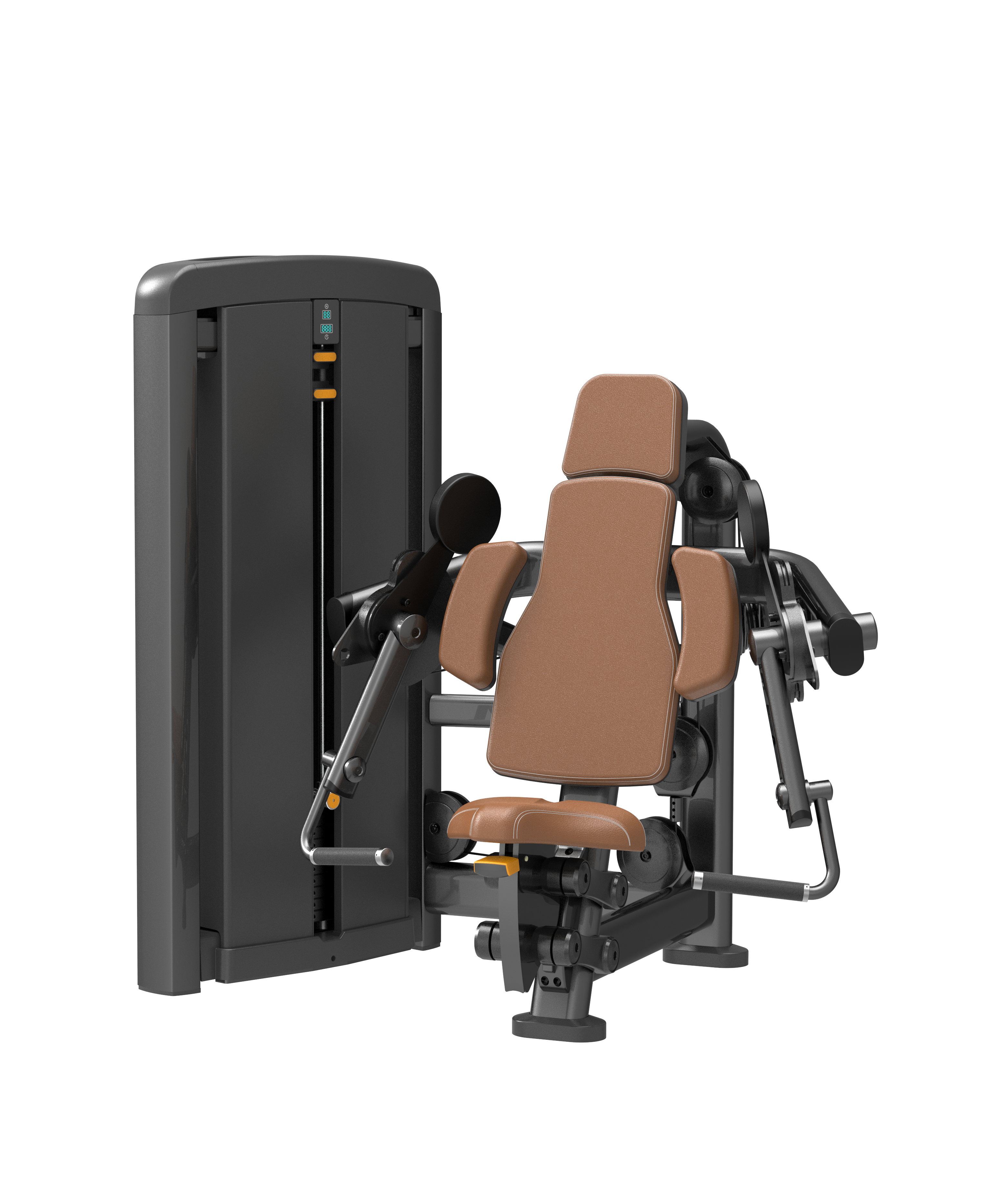 SN005 Biceps Machine